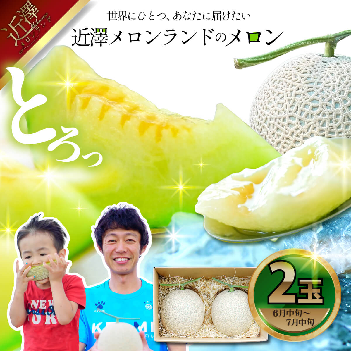 先行予約 メロン ２玉入り（1玉約1.4kg～1.8kg）青肉 2026年夏発送 期間限定 メロン めろん マスクメロン 舐瓜 果物 くだもの フルーツ デザート 旬 ハウス栽培 常温配送
