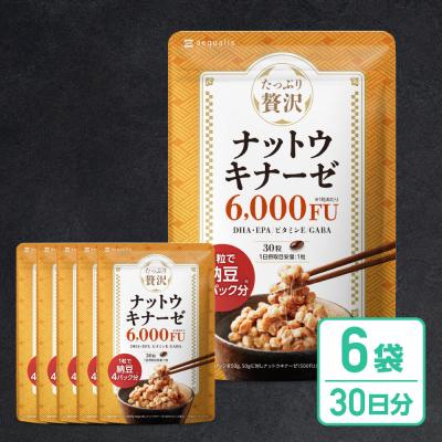 ふるさと納税 名古屋市 ナットウキナーゼ サプリメント たっぷり贅沢ナットウキナーゼ 6袋