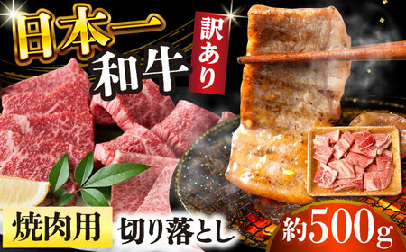 訳あり 長崎和牛 焼肉切り落とし 肩ロース・バラ 500g [DBS003] 訳アリ 牛肉