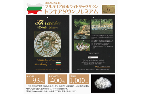 【冬用】羽毛布団 シングル 冬 本掛け 60番手サテン (レオーネ 青 柄 )