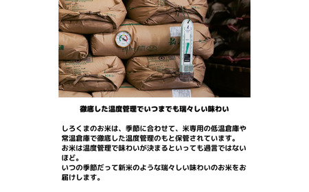 新潟県産ブレンド米 10kg（5kg×2袋) 令和6年産米 ブレンド米 精米 ブレンド米 コシヒカリ含むブレンド米  [株式会社白熊]【010S455】