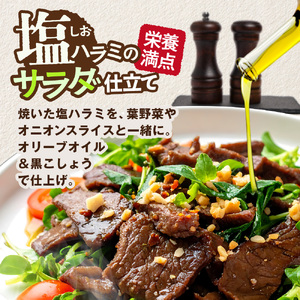 牛ハラミ 塩漬けダレ 1.2kg (400g×3pc) a163-010