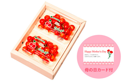 一足先にお届け！【母の日】さくらんぼ佐藤錦360gLサイズ以上(180g×2パック) 【令和9年産先行予約】FS26-646