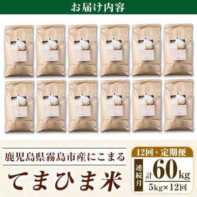 ふるさと納税 霧島市 12回定期《R7年産新米》てまひま米・玄米(品種:にこまる)(計60kg)【末蜜農園】K-391-G |  | 03