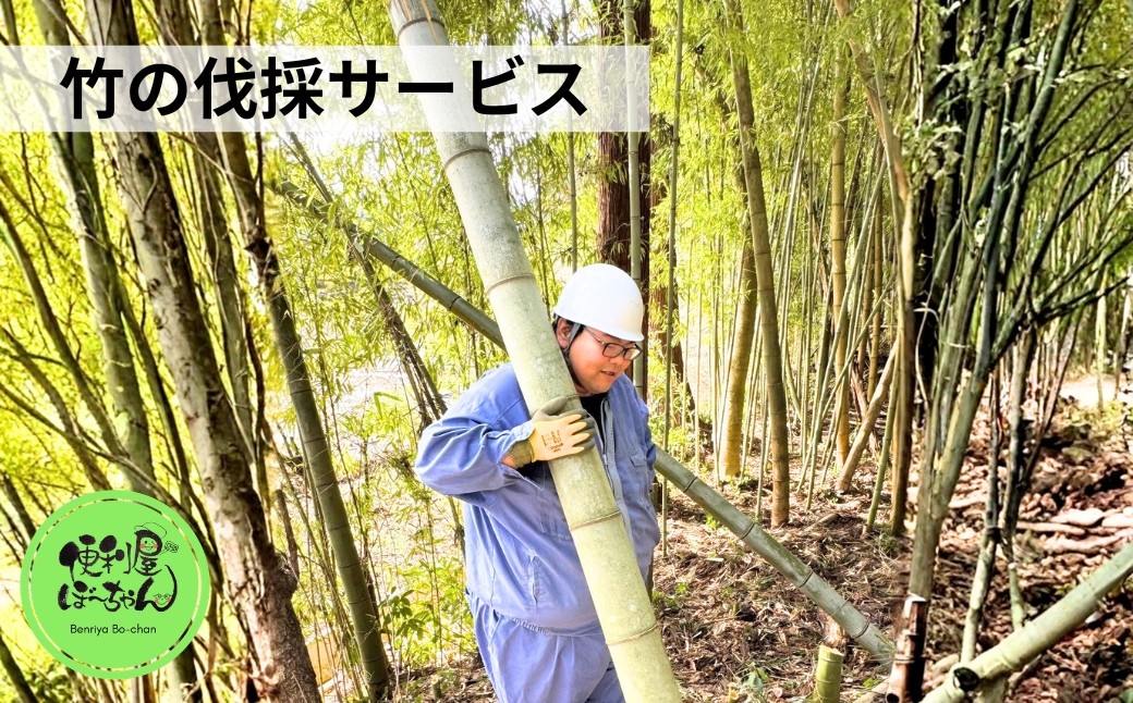 
                  竹の伐採サービス 1回 五泉市内限定 | 庭づくり 剪定 伐採 代行 サービス 家族 実家 親 見守り 訪問 新潟県 五泉市 便利屋ぼーちゃん
                