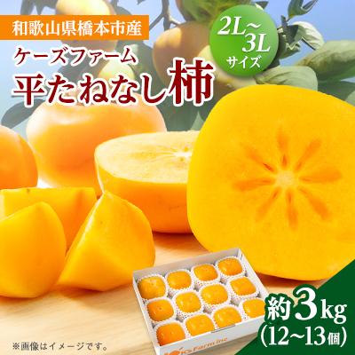 ふるさと納税 橋本市 ケーズファーム　平たねなし柿　12〜13個入　2L〜3Lサイズ