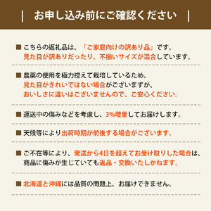 晩生みかん 2.5kg【配送不可地域：北海道・沖縄県・離島】_M160-0021-7  みかん ミカン 蜜柑 みかん ミカン 蜜柑 みかん ミカン 蜜柑 みかん ミカン 蜜柑 みかん ミカン 蜜柑 み