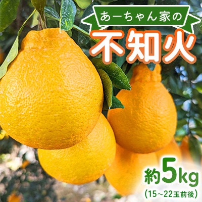 【先行予約2026年4月上旬～発送予定】あーちゃん家の不知火 約5kg【早川果樹園】【1696033】
