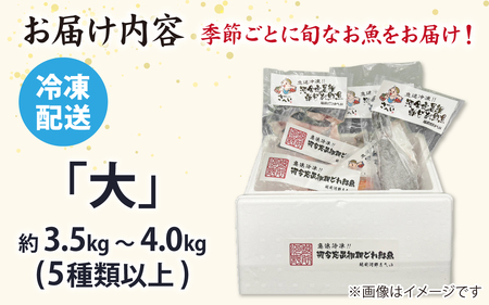 【日本海鮮魚】漁師厳選鮮魚真空冷凍セット約3.5g～4.0kg(5種以上)  | 魚 詰め合わせ 新鮮 煮物 焼き物 お造り 刺身 晩酌 食卓 BBQ 急速冷凍 真空パック 鮮魚セット 詰合せ 鮮魚店