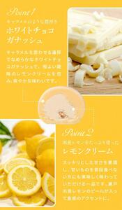 ふくちゃ 訳あり ショコリッシュ 520g 瀬戸内レモン 冷凍品【配達不可：離島】