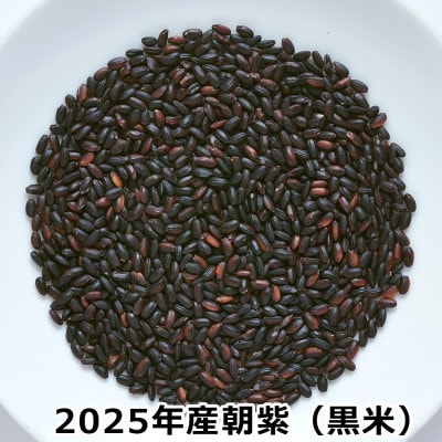 黒米「朝紫」有機JAS認証400g×3袋 古代米【1277485】