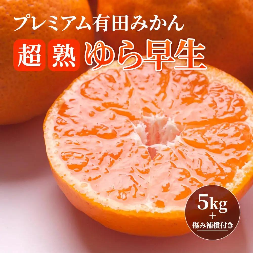 ［先行予約］プレミアム 有田みかん5kg+250g（傷み補償分）［2026年10月初旬から2027年1月末日頃順次発送予定］［IKE250］