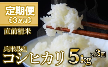 【定期便/３回】コシヒカリ 白米5kg ×3か月連続お届け