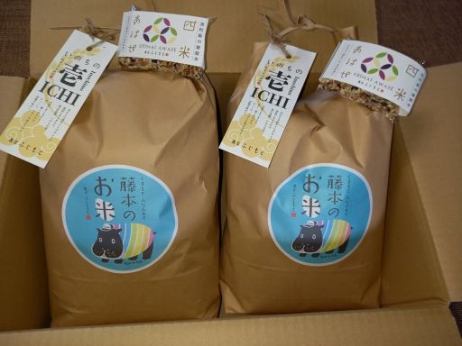 【数量限定！農家から直接お届け】令和7年産特別栽培米 いのちの壱(白米)5kg×2
