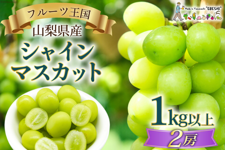 【2025年発送】ぶどう 山梨県産 シャインマスカット1kg以上 2房 [株式会社えべし 山梨県 中央市 21470877] フルーツ 果物 くだもの ブドウ シャイン マスカット 葡萄 期間限定 季節限定