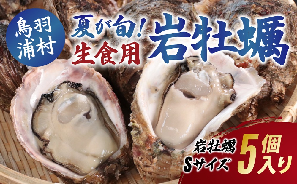 
                  【夏が旬！期間限定 】【8月1日に受付終了】9-11生食用岩牡蠣（大福牡蠣）Sサイズ5個入り 岩ガキ 生牡蠣 冷蔵 浦村牡蠣 大福牡蠣 
                