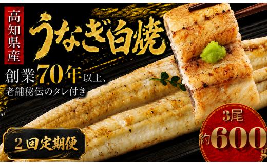 【2回 定期便】 高知県産 うなぎ 白焼 3尾 | 国産 日本産 うな重 うな丼 鰻 ウナギ 有頭 白焼き しらやき 土用丑の日 土用の丑の日 丑の日 魚 魚介 魚貝 海鮮 高級 贅沢 特別 老舗 初音 釜めし初音 鰻蒲焼 タレ付き タレ 贈答 お取り寄せ 冷凍 うな重 ギフト 贈り物 お祝い プレゼント ご褒美 人気 おすすめ 湯煎 簡単 調理 おかず お手軽 ご当地 グルメ 高知県 南国市