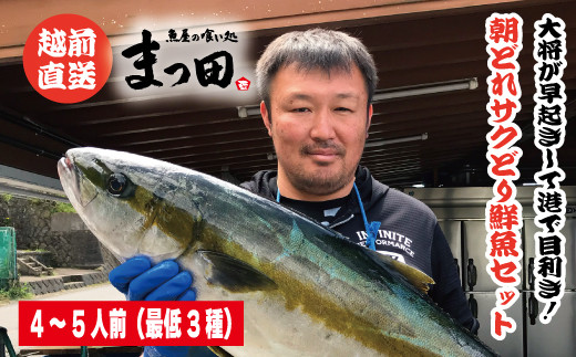 【先行予約】大将におまかせ！朝どれサクどり鮮魚4～5人前 【4月～10月発送】[B-007013]