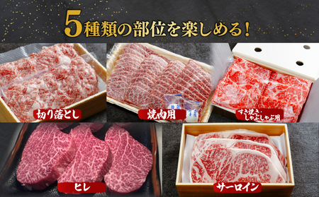 ＜定期便5回＞とちぎ和牛の贅沢食べ比べ 計約3.7kg【栃木県共通返礼品】 | 和牛 定期便 栃木県 茂木町