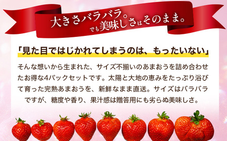 福岡県産 特別栽培 あまおう サイズいろいろMIX 約1140g（約285g×4パック）【3月発送】　農園直送 アフター保証 先行予約 福岡産 送料無料 ケーキ ギフト お祝い 限定 季節限定 UN0
