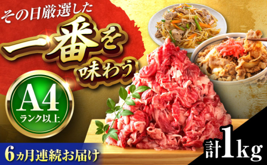 【全6回定期便】【A4〜A5】博多和牛 切り落とし 1kg(500g×2P) 吉富町/株式会社MEAT PLUS [BGAB102] 牛肉 切り落とし 国産 福岡県