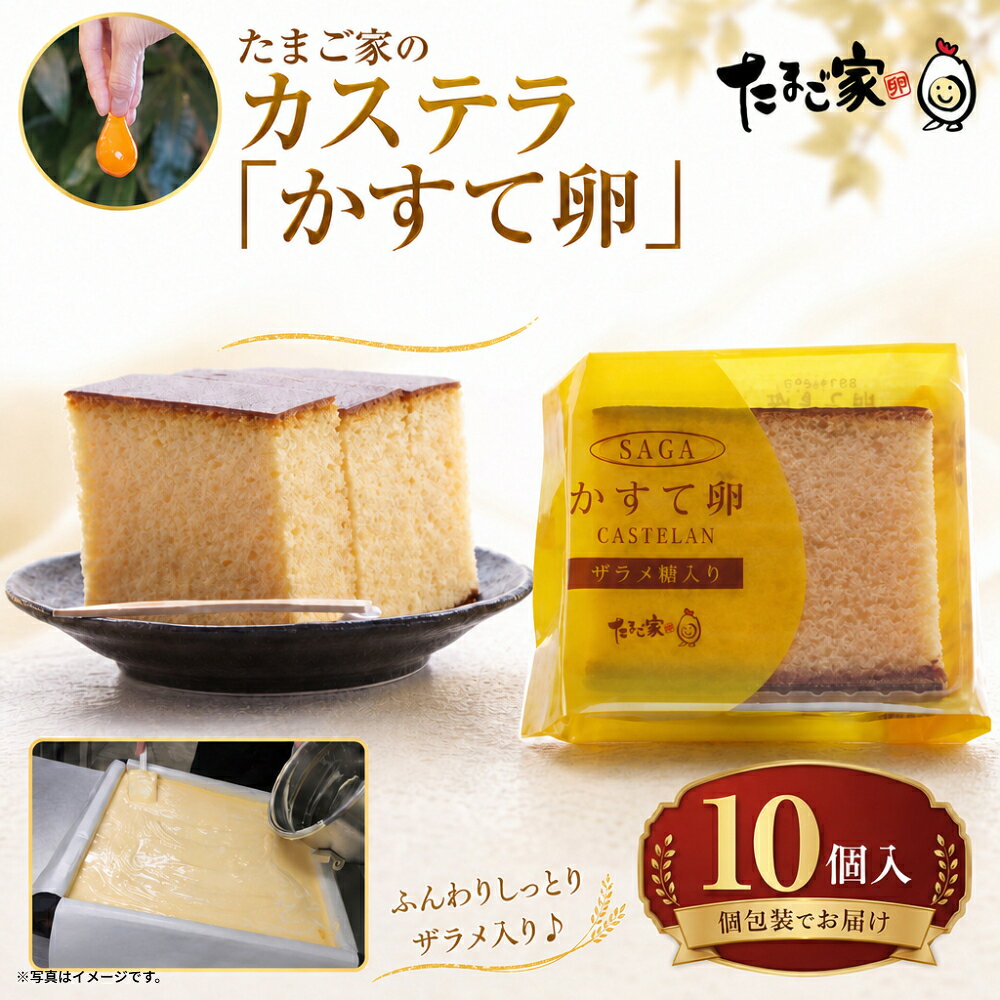 【ふるさと納税】N-249 たまご専門店☆たまご家のカステラ「かすて卵」10個入り