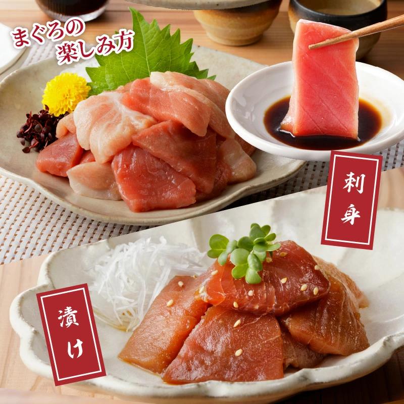 鷹島産本まぐろ 贅沢まぐろ丼セットたっぷり2人前(赤身と中・大トロの切り落とし200g)( マグロ 鮪 大トロ 中トロ 赤身 丼 養殖 本マグロ 海鮮 お刺身 ネギトロ )【A8-006】
