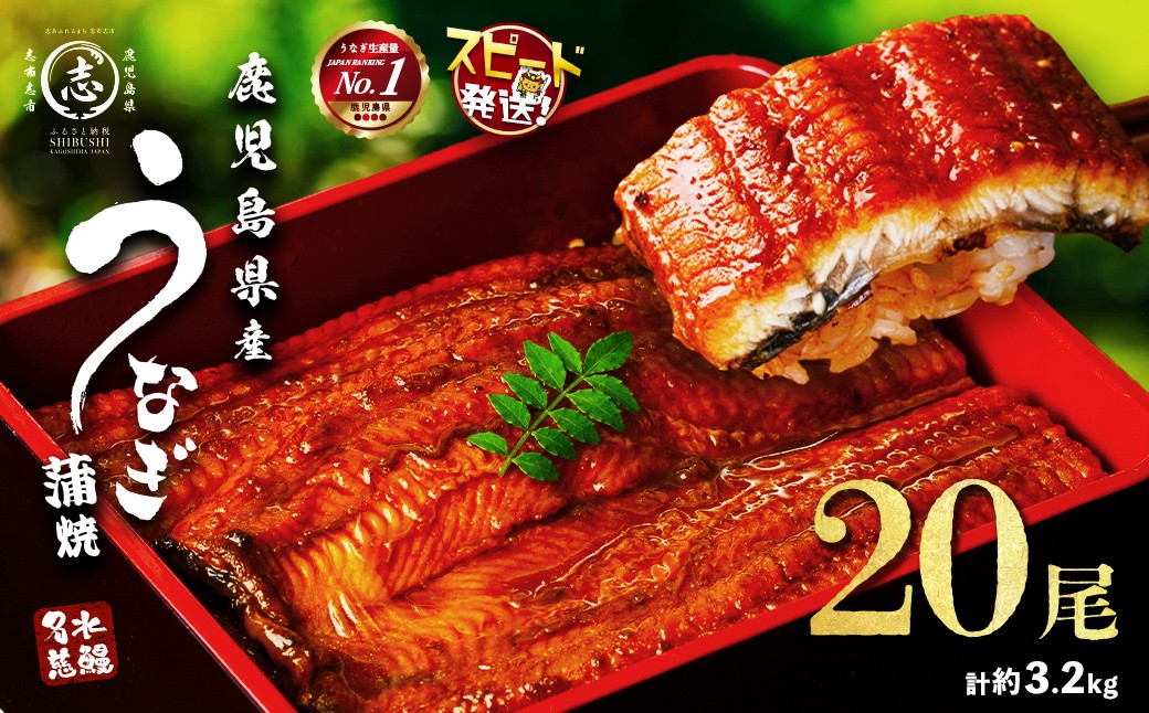 
鹿児島県産うなぎ蒲焼 名水慈鰻 20尾(1尾約160g)＜計約3.2kg＞ wa4-001
