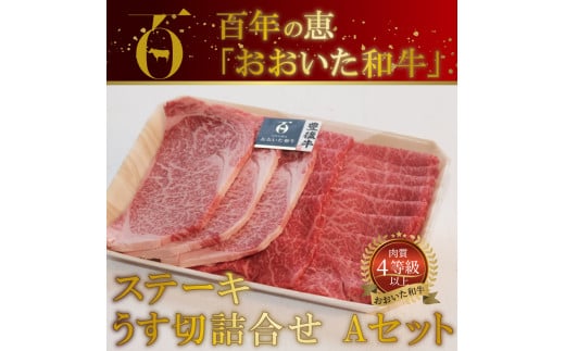 百年の恵 「おおいた和牛」 ステーキ・うす切詰合せ Aセット約700g  牛肉 うす切り 詰め合わせ 和牛 豊後牛 黒毛和牛 霜降り ロースステーキ 焼肉 700g A01063