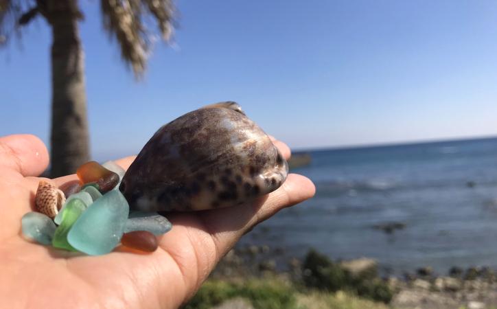 名も知らぬ～　遠き島より　流れ寄る　たからがい　ひとつ～♪