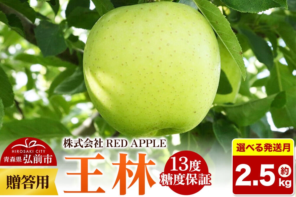 
                  りんご【選べる 26年12月上旬～／27年1月上旬～ 発送】13度糖度保証【贈答用】王林 約2.5kg 先行受付 [アップル おいしい お歳暮 お中元 ギフト プレゼント りんご 王林 黄色 果実 果物 贈り物 贈答用 糖度 美味 林檎]
                