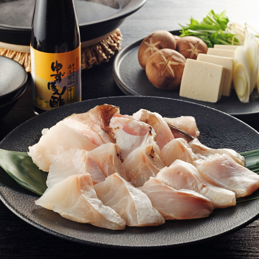 ＜福井鮮魚＞養殖くえ「鍋＆刺身」2～3人前