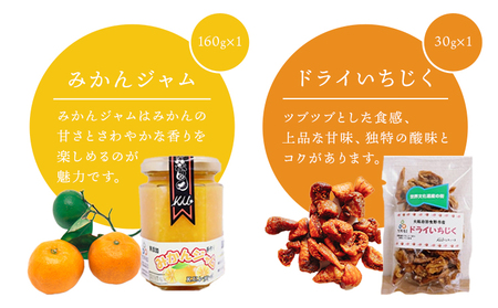 羽曳野市フルーツジャム詰合せ いちじくジャム 皮入りいちじくジャム みかんジャム ドライいちじく