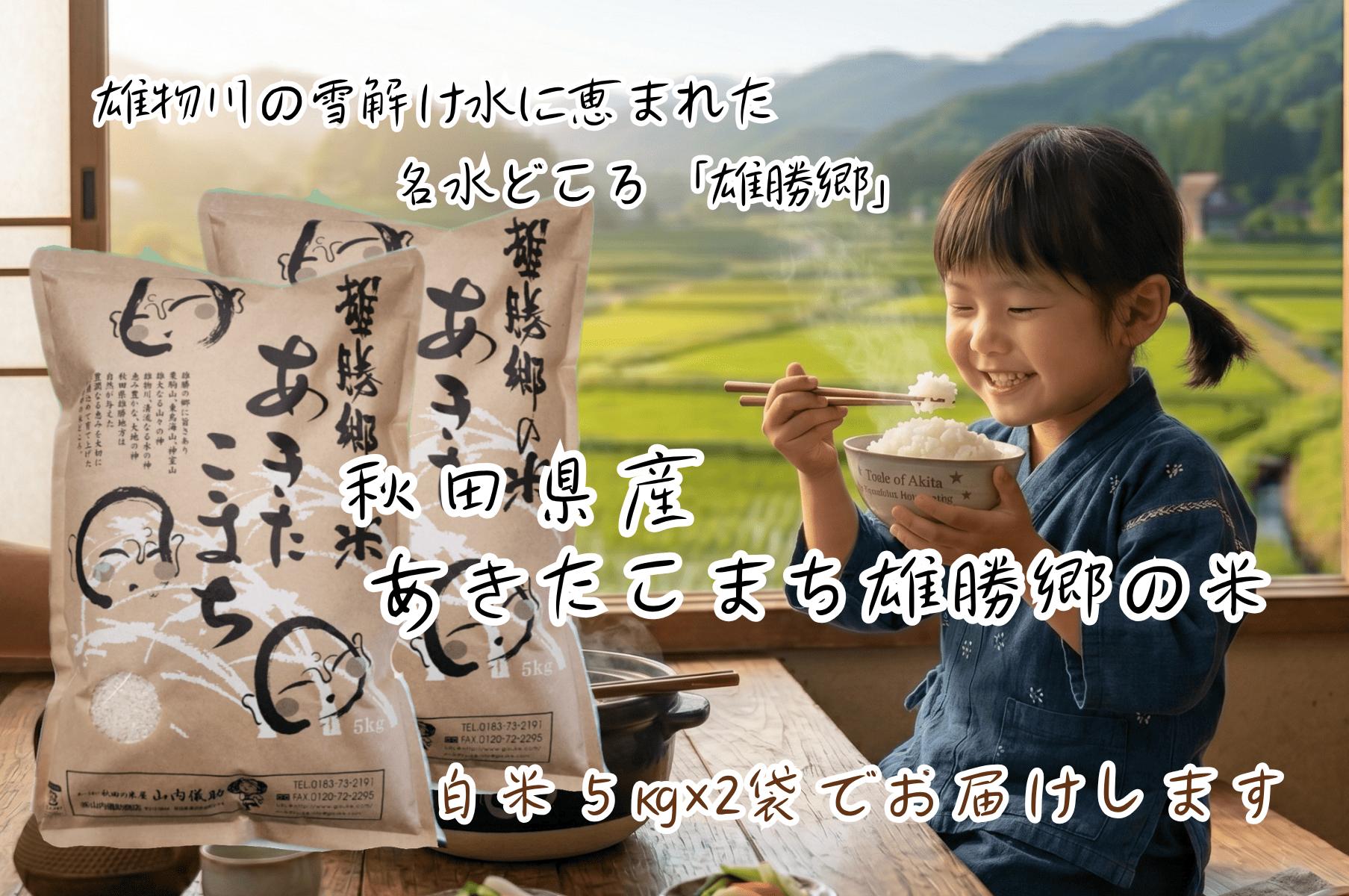 
                  令和7年産 あきたこまち 雄勝郷の米 白米5kg×2袋 計10kgふるさと納税 秋田 米 あきたこまち お米【（株）山内儀助商店】[B9-2001]
                