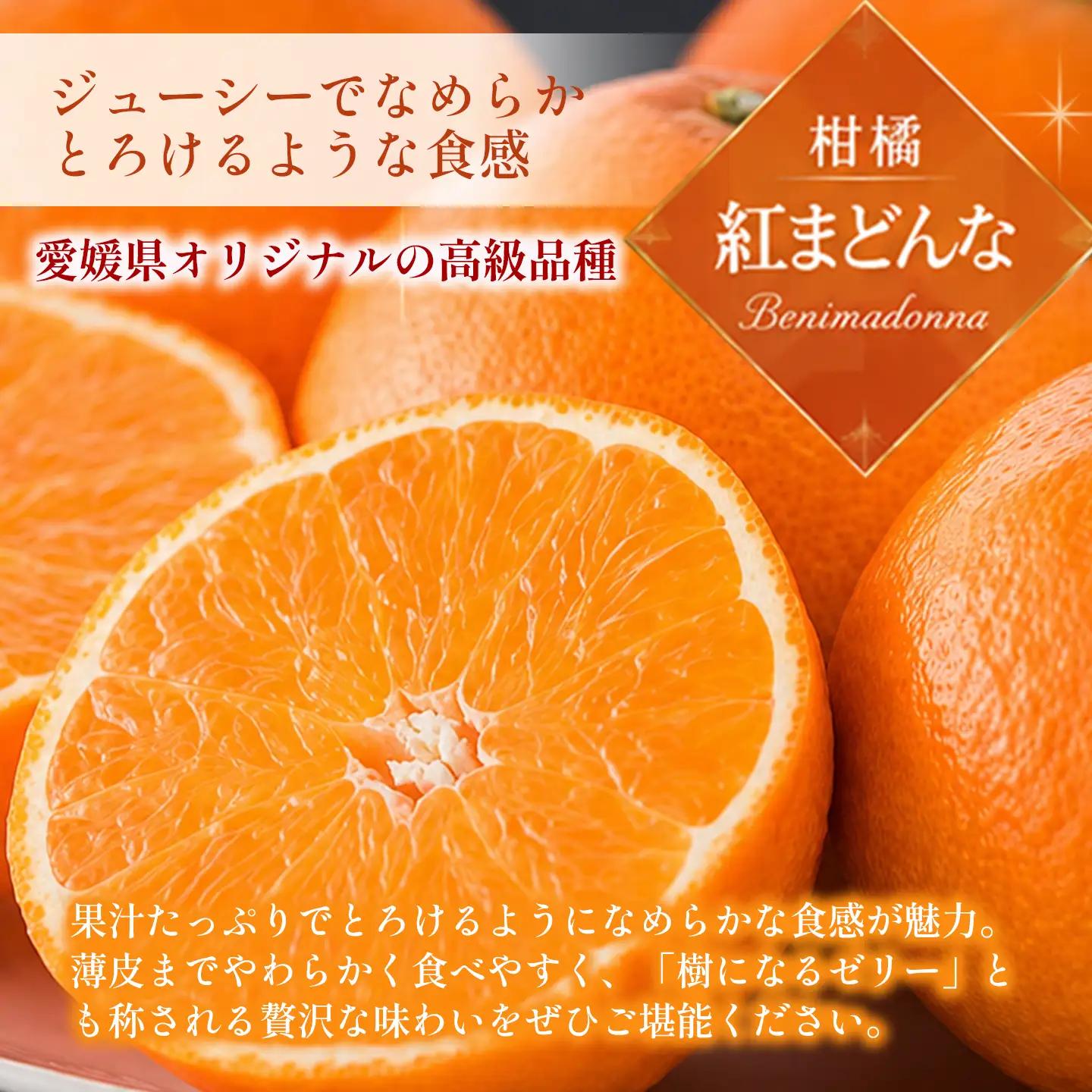 紅まどんな 3㎏（青秀・8～12個入・4L～2Lサイズ）｜柑橘 まどんな【JA東園】