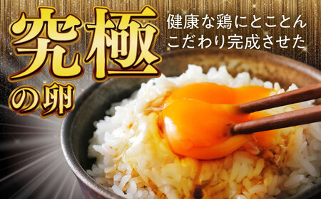 【3ヵ月定期便】岐阜産こだわり産みたて卵 30個入りMサイズ【醍醐卵】