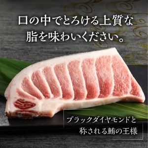 a20-373　焼津 本マグロ 大トロ 1本約250g 冷凍 F1