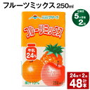 【ふるさと納税】【定期便】【5ヶ月毎2回】フルーツミックス 250ml 24本 計48本（24本×2回）ミックスジュース らくのうマザーズ フルーツ牛乳 フルーツ ジュース りんご パイナップル オレンジ みかん 紙パック 熊本県産 国産 九州 熊本県 菊池市 送料無料