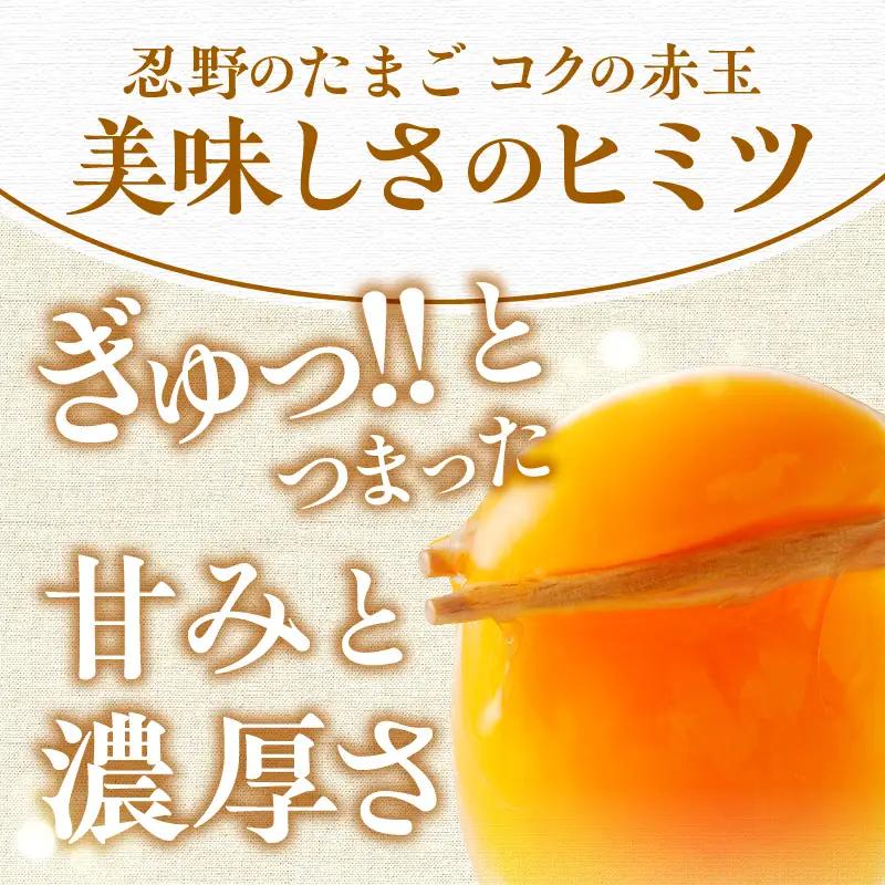 【12ヶ月定期便】”忍野の卵”コクの赤玉50個×12回 ※割れ保証含む 卵