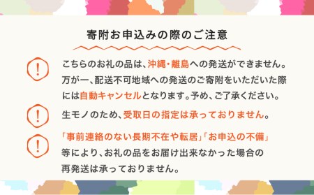 先行予約 大玉 尾花沢すいか 4L×2玉入り 令和6年産 2024年産  ja-suoox4 ※沖縄・離島への配送不可