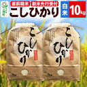 【ふるさと納税】《新米先行受付》【精米】こしひかり 10kg（5kg×2袋）令和6年産 米 秋田県 三種町産