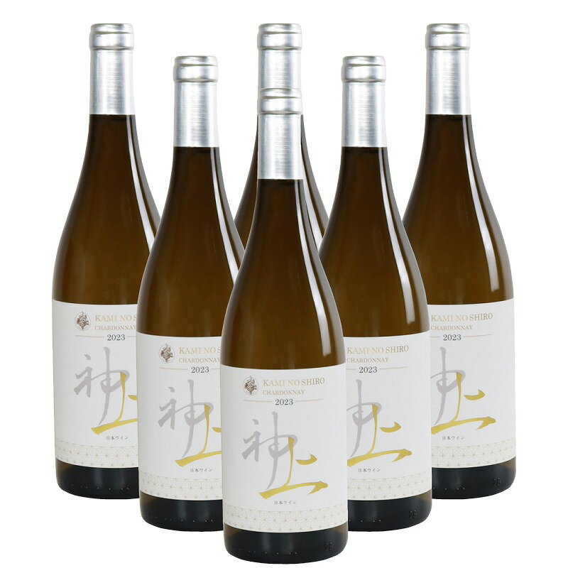【ふるさと納税】北海道 上ノ国ワイナリー　白ワイン「上の白 シャルドネ 2023」　750ml×6本　辛口　北海道ワイン　フレッシュ　清涼感　柑橘系　WINE　家飲み　お祝い　おうちディナー　お酒　パーティー　高級