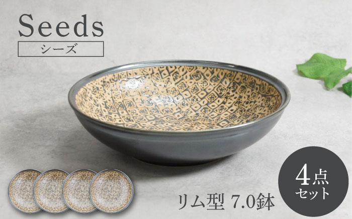 
                  【美濃焼】シーズ seeds リム型 7.0鉢 4枚セット【カネ定製陶】　うつわ プレート 大皿 [MEI111]
                