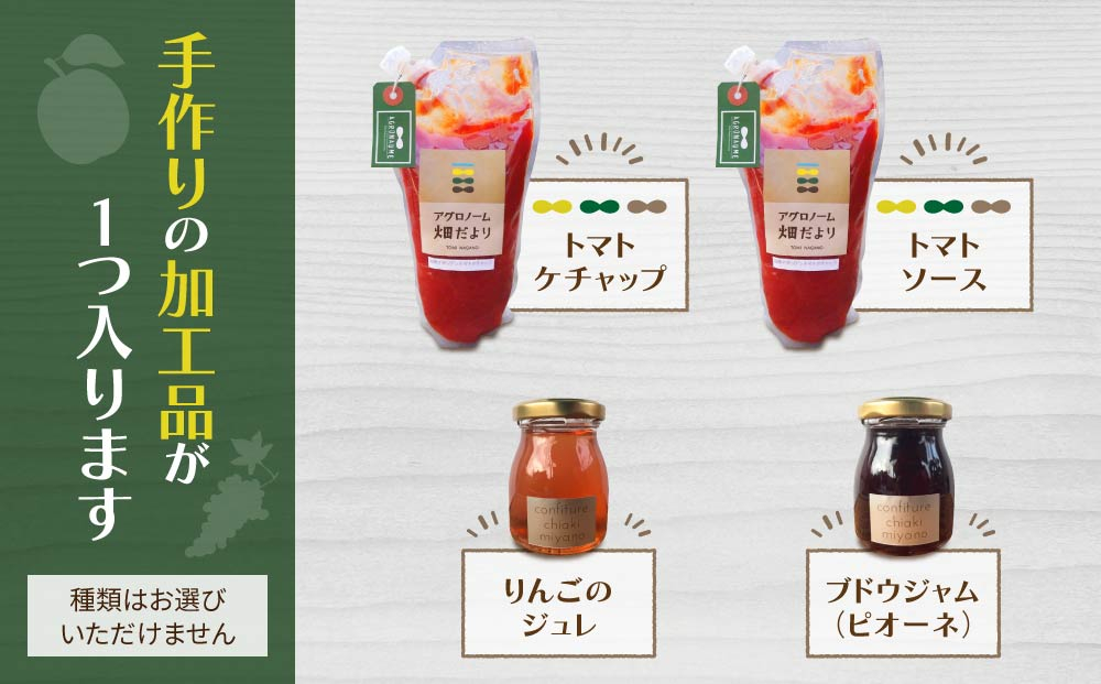 【アグロノーム】お一人様向け、お試し季節のお野菜セット※2024年7月以降発送開始