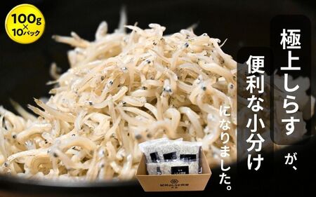 シラス 厳選 小分け 冷凍便 / 冷凍釜揚げしらす1kg（100g×10パック）【dig003】