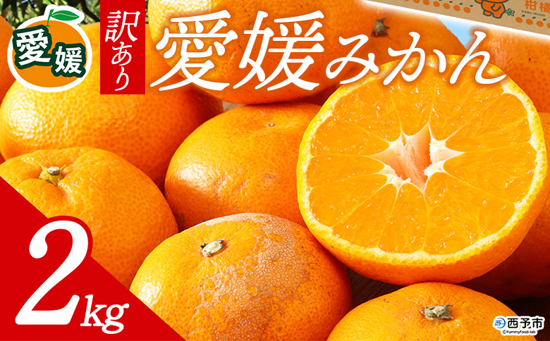 先行予約＜訳あり 愛媛みかん 合計約2kg＞ 『2026年11月以降順次出荷予定』ミヤモトオレンジガーデン 愛媛県 西予市