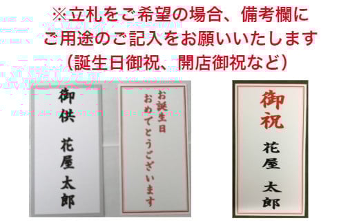 1033.フォアスPREMIUM胡蝶蘭3本立ち42輪以上 リップ (A1033-1) 
