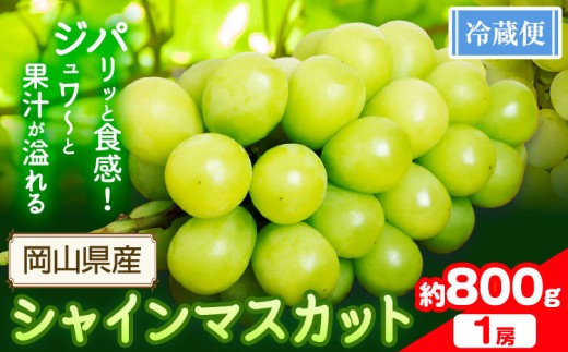 シャインマスカット 800g以上(1房)【配送不可地域あり】 花田青果株式会社《9月上旬-10月末頃出荷》マスカット 送料無料 岡山県 浅口市 シャインマスカット ぶどう フルーツ 果物 贈り物 ギフト