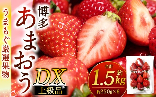 福岡県産特産品 うまもぐ厳選果物 福岡県産 博多あまおう DX上級品 約1.5kg（約250g×6パック入り）【2027年2月上旬-3月上旬発送】あまおう いちご 苺 イチゴ 果物 フルーツ