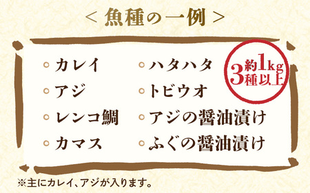 【数量限定】漁場手作り干物 季節の厳選おまかせセット 約1kg 3種以上【詰め合わせ 冷凍 干物セット 人気 アジ カレイ レンコ鯛 あじ ?油漬け カマス ハタハタ ふぐ ひもの 冷凍干物 お取り寄